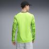 Puma GSK GK Jersey LS GALATASARAY 26/27 Erkek Kaleci Forması