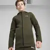 PUMA EVOSTRIPE FZ Hoodie DK Yeşil Erkek Çocuk Sweatshirt