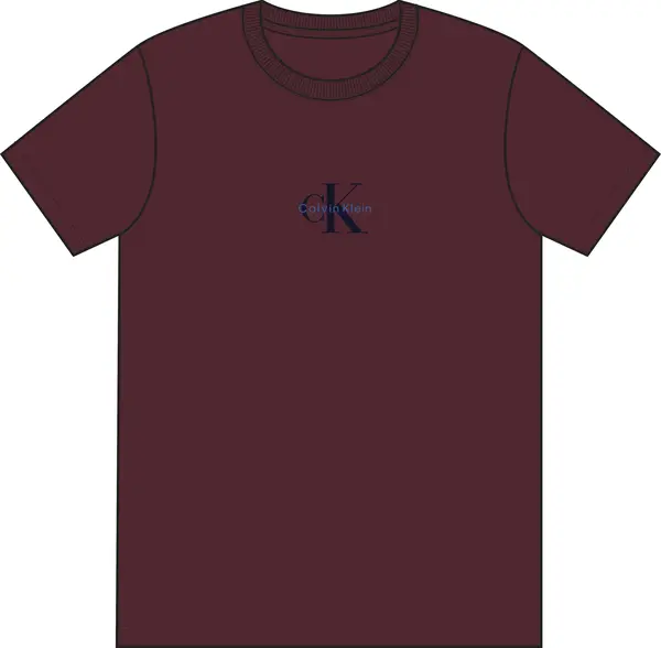 Calvin Klein SS 30S MICRO MONOLOGO GRAPHIC TE Erkek Bordo T-Shirt
