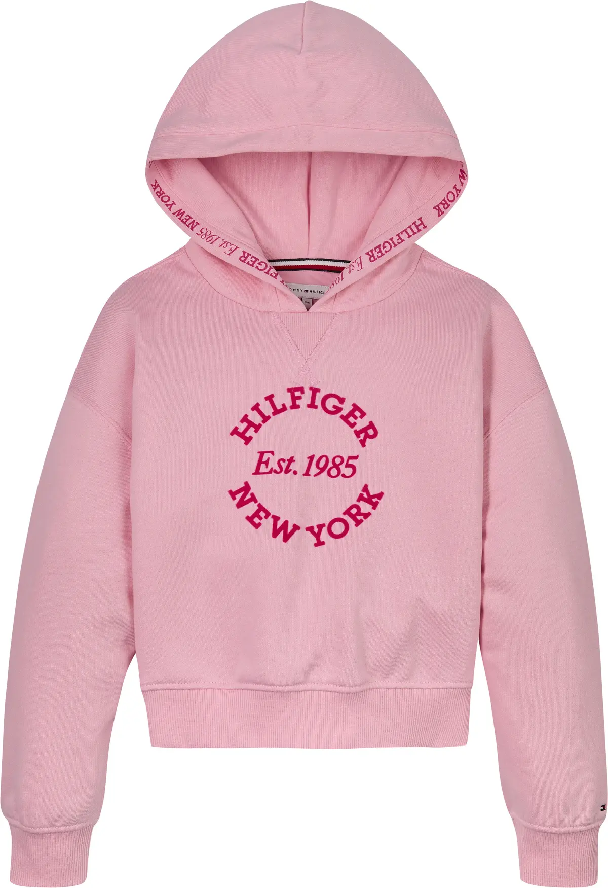 Tommy Hilfiger HILFIGER NEW YORK HO, TPF Pembe Kız Çocuk Sweatshirt