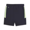 Puma EVOSTRIPE Shorts DK Erkek Şort