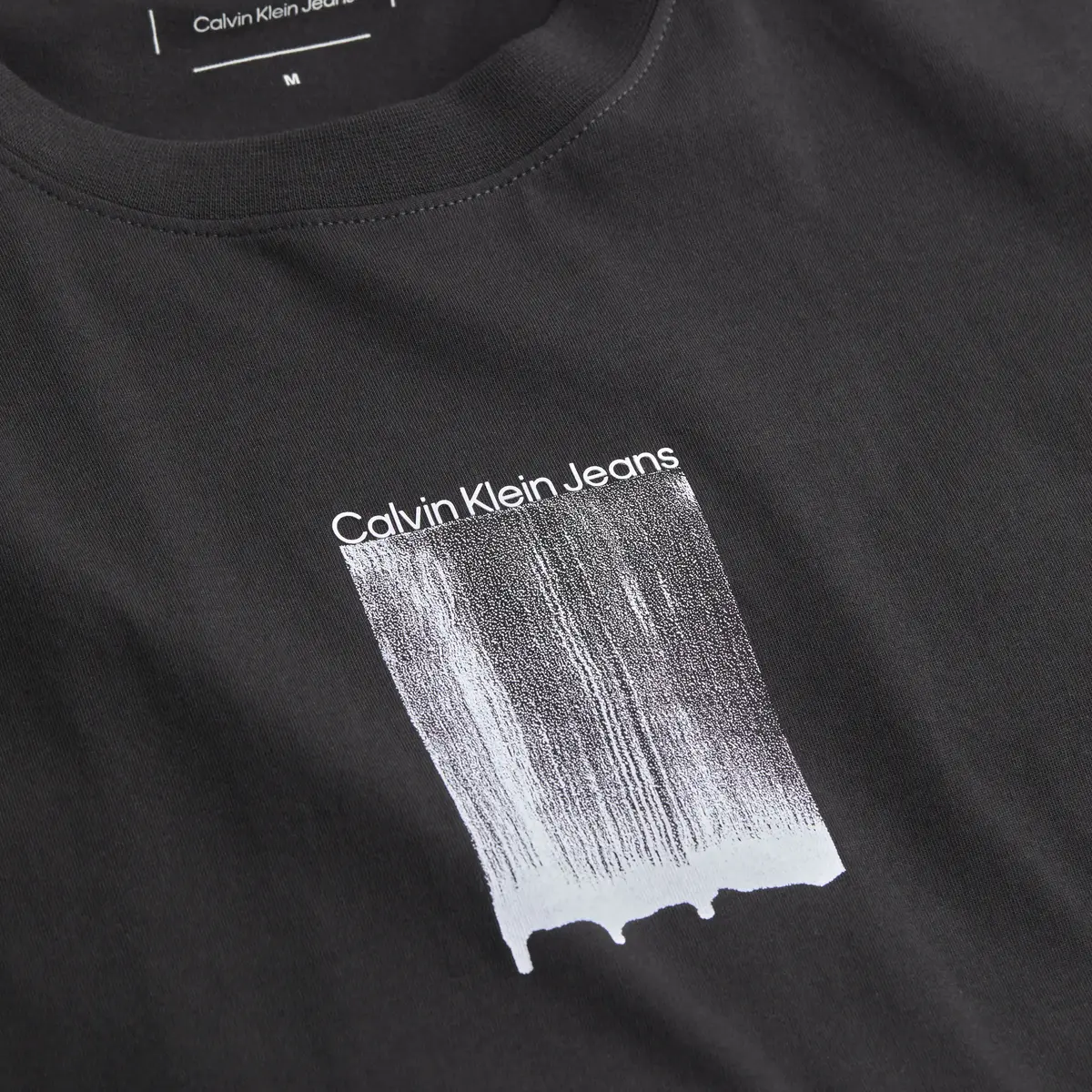 Calvin Klein BRUSH STROKE GRAPHIC, BEH Siyah Erkek T-Shirt & Polo