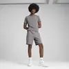 PUMA EVOSTRIPE Shorts Gri Erkek Şort