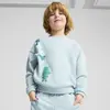 Puma X TROLLS Graphic Crew Mavi Erkek Sweatshirt