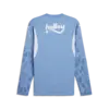 Puma FSK GK Jersey Replica LS Erkek Forma