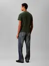 Calvin Klein SS 30S EU CALVIN KLE Yeşil Erkek Tişört