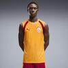 Puma GSK Training Jersey SL GALATASARAY Erkek Kolsuz Antrenman Forması