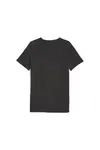 Puma EVOSTRIPE Tee Siyah Erkek T-Shirt
