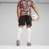 Puma Neymar JR COPA Shorts Siyah Erkek Şort