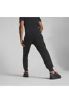 Puma Pl Statement Pants Siyah Erkek Eşofman Altı