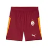 Puma GSK Shorts Replica w/b w/oSp Kırmızı Erkek Şort