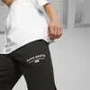 Puma TEAM Sweatpants Siyah Erkek Eşofman Altı