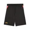 Puma Neymar JR COPA Shorts Siyah Erkek Şort