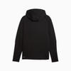 PUMA EVOSTRIPE FZ Hoodie Siyah Erkek Sweatshirt