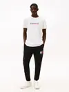 TJM SLIM RWB FLAG SW, BDS