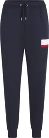 Tommy Hilfiger RWB INSERT SWEATPANT, DW5 Siyah Erkek Eşofman Altı