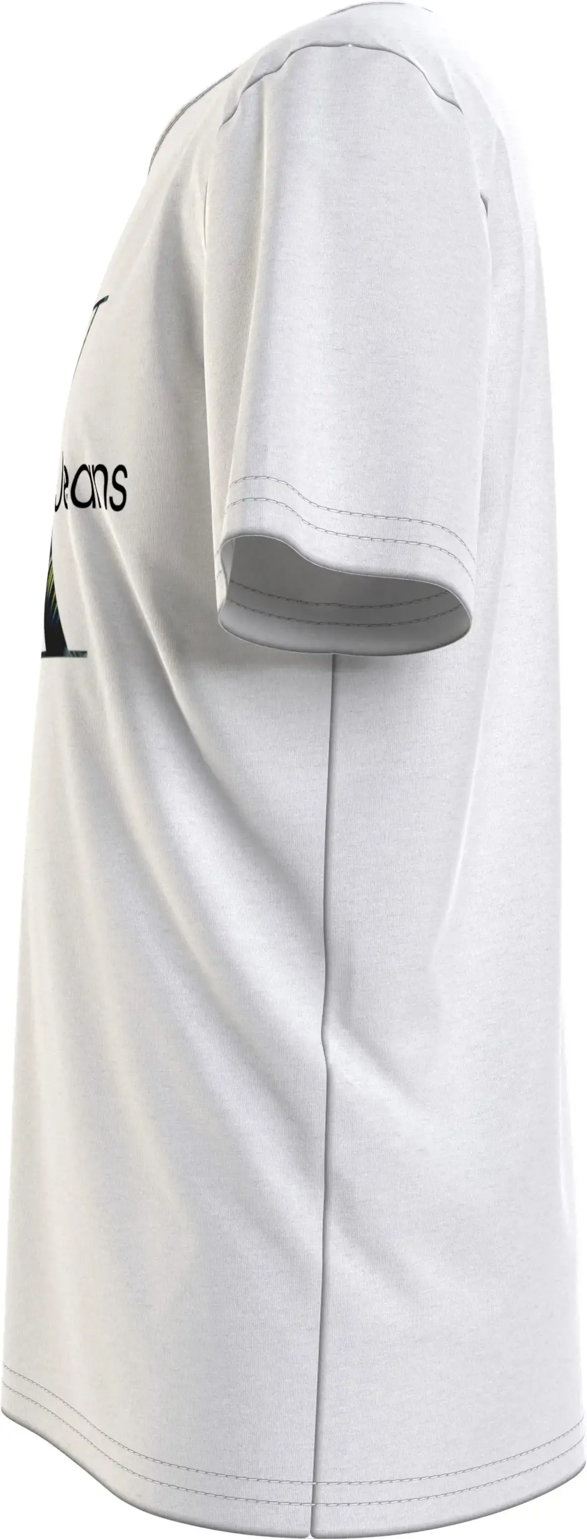 Calvin Klein PALM MONOGRAM LOGO T Erkek Beyaz T-Shirt