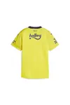 Puma FSK Away Jersey W Sarı Kadın Takım Forması