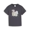 Puma X TROLLS Graphic Tee Gri Erkek T-Shirt & Polo