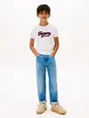 Tommy Hilfiger Varsity Interlock Knit Logo Beyaz Erkek Çocuk T-Shirt