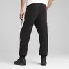 Puma BMW MMS SWEAT PANTS REG/CC Siyah Erkek Eşofman Altı