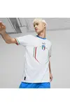 Puma Fıgc Deplasman Forması Beyaz Erkek Takım Forması
