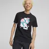 Puma Fandom Graphic Tee Siyah Erkek T-Shirt