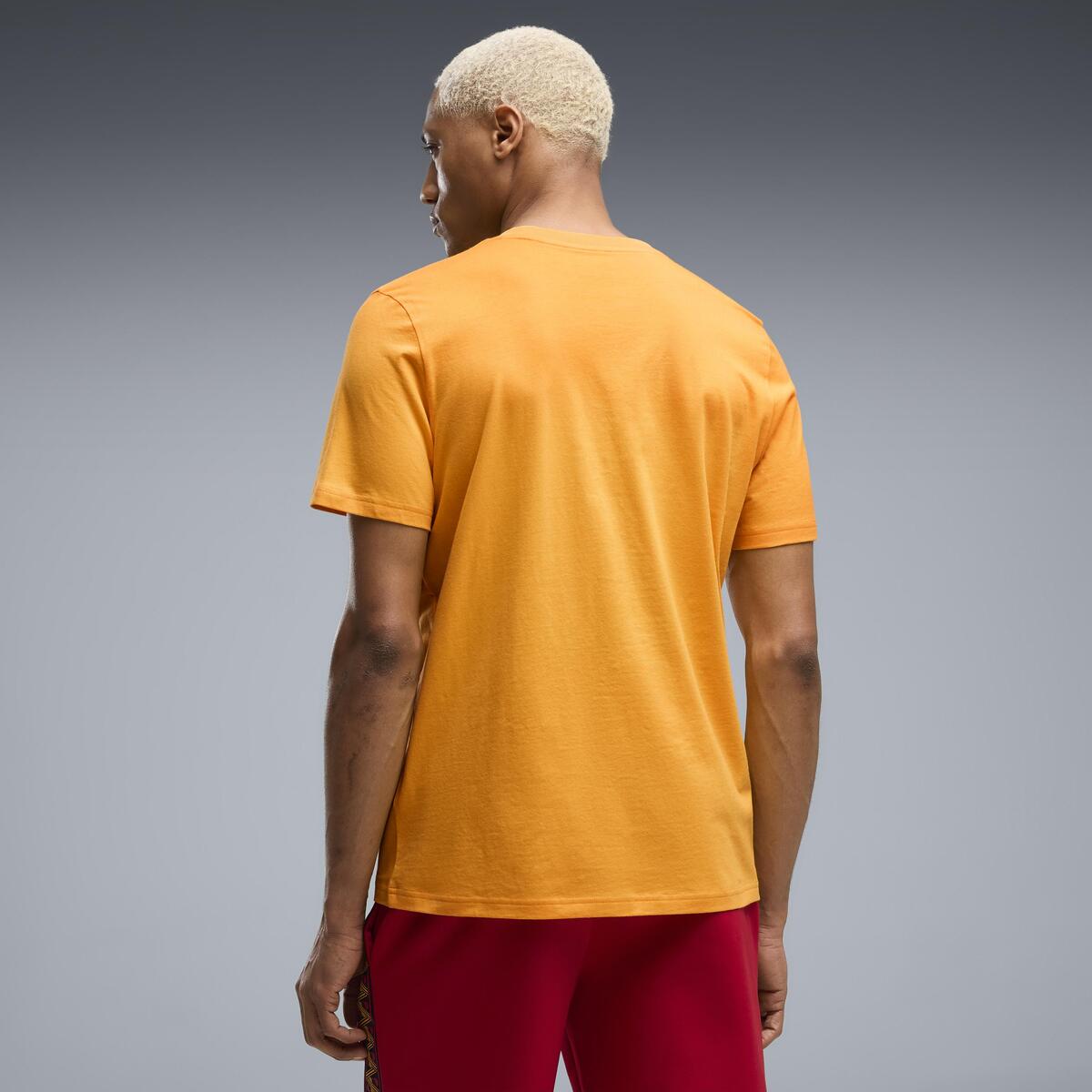 Puma GSK FtblCulture Tee GALATASARAY FtblCulture Erkek Tişört