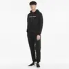 Puma As Graphic Hoodie Tr Siyah Erkek Hoodie