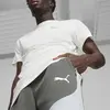 Puma EVOSTRIPE Shorts 8'' DK Gri Erkek Şort