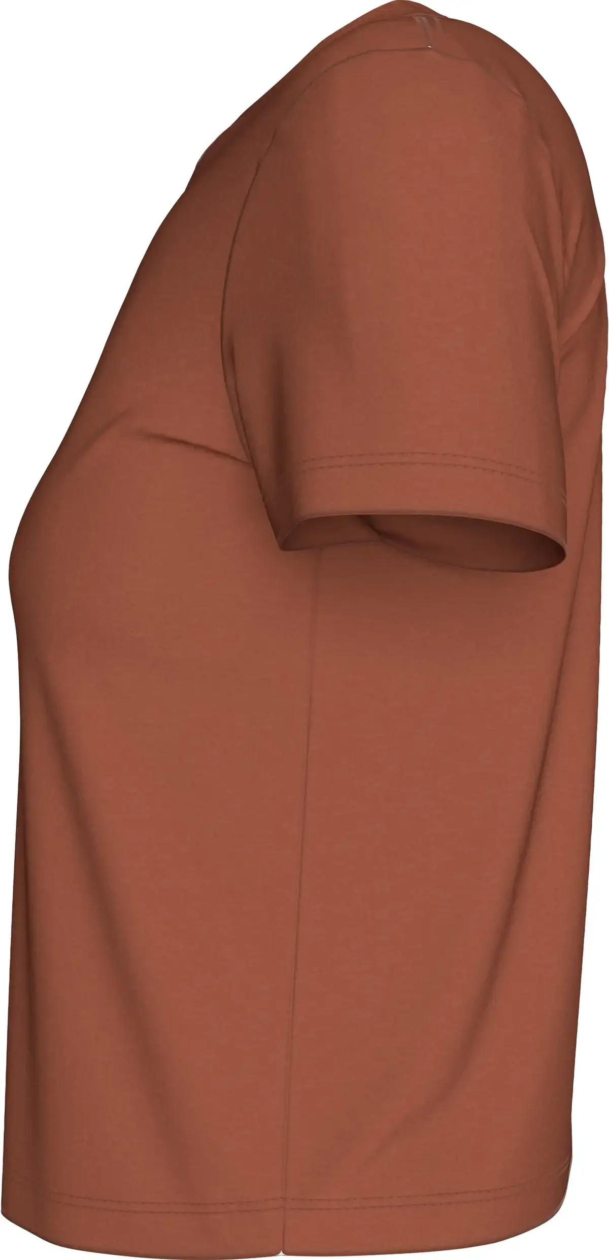 Calvin Klein WASHED PUFF PRINT BA, GAM Kahverengi Kadın T-Shirt & Polo