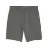 Puma EVOSTRIPE Shorts 8'' DK Gri Erkek Şort