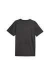 Puma Fit Poly Logo Tee Siyah Erkek T-Shirt