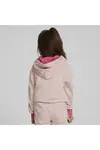 Puma Small World Prime Hoodie Tr Rose Quartz Erkek Çocuk Hoodie