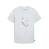 Puma X PLAYSTATION Graphic Tee Açık Gri Erkek T-Shirt