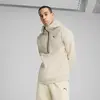 PUMATECH Half-Zip Hoodie Bej Erkek Hoodie