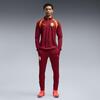 Puma GSK Training 1/4 Zip Top GALATASARAY Erkek Fermuarlı Dar Kesim Antrenman Üstü