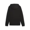 PUMATECH FZ Hoodie DK Siyah Erkek Fermuarlı Ceket
