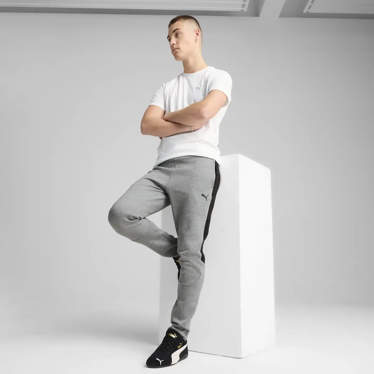 Puma EVOSTRIPE CORE Pants Gri Erkek Eşofman Altı