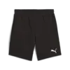 Puma EVOSTRIPE Shorts Siyah Erkek Şort