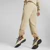 Puma Team Sweatpants TR Bej Erkek Eşofman Altı