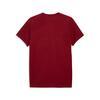 Puma GSK EVOSTRIPE Tee GALATASARAY EVOSTRIPE Erkek Dar Kesim Tişört