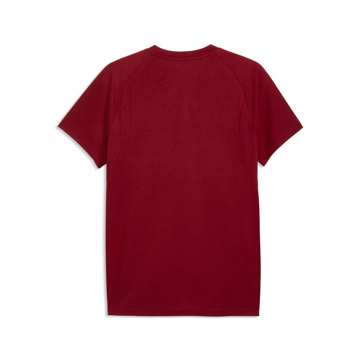 Puma GSK EVOSTRIPE Tee GALATASARAY EVOSTRIPE Erkek Dar Kesim Tişört