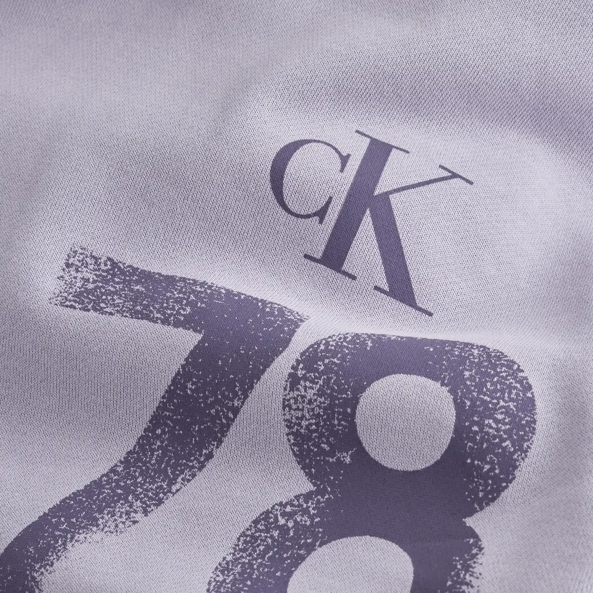 Calvin Klein VARSITY 1978 HOODY Erkek Lila Hoodie