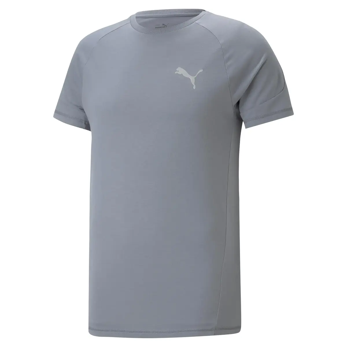 Puma EVOSTRIPE Tee Tile Gray Tile Erkek/Unisex T-Shirt
