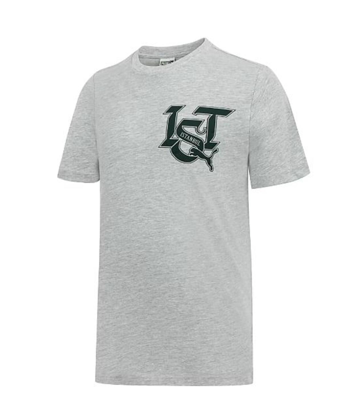 Puma Istanbul Graphic Tee Gri Erkek T-Shirt