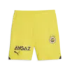 Puma FSK Shorts Replica Erkek Şort