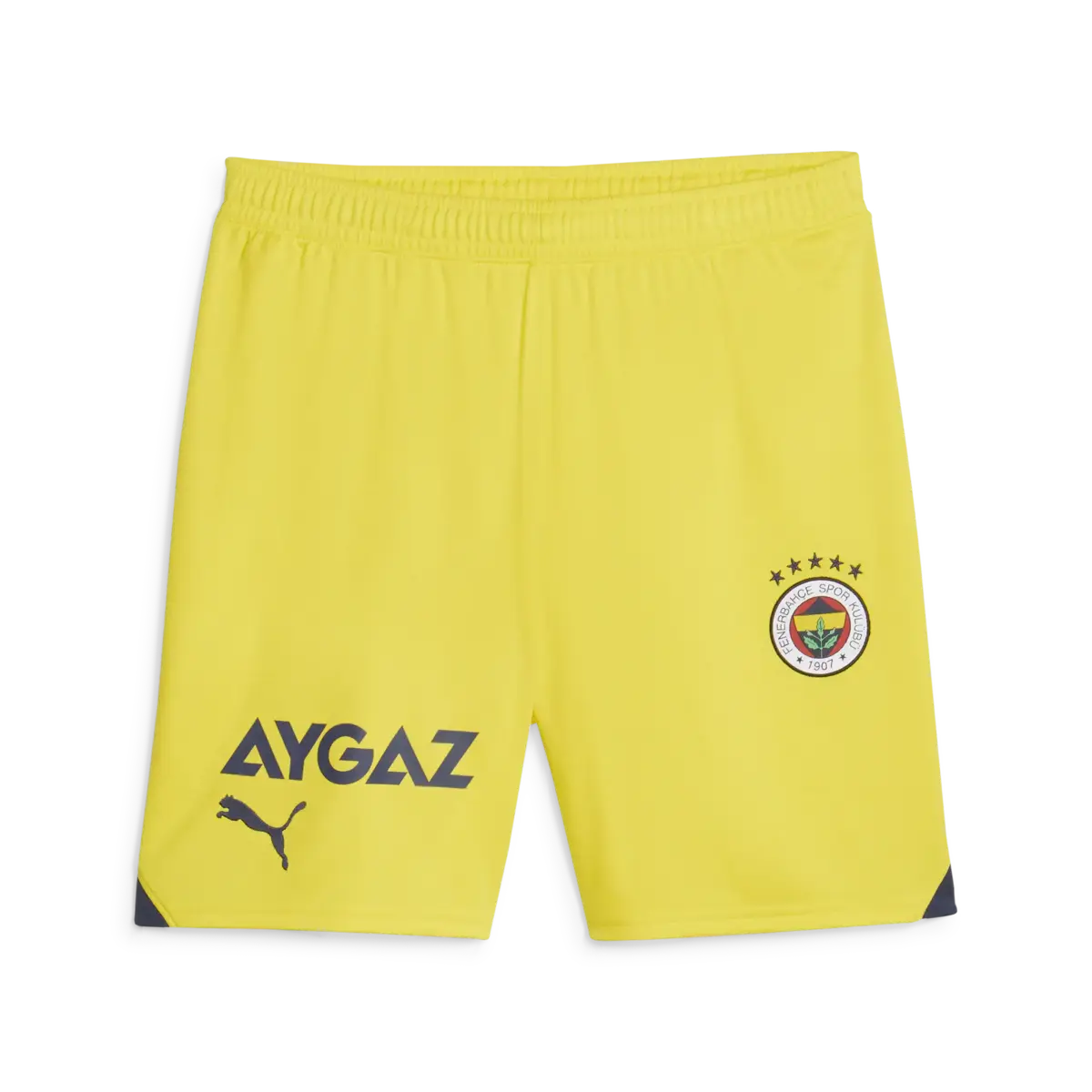 Puma FSK Shorts Replica Erkek Şort