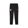 Puma GSK EVOSTRIPE Pants Siyah Erkek Eşofman Altı