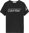 Calvin Klein INSTITUTIONAL LINED Erkek Siyah T-Shirt